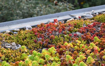 the cost of Da Toon O Ham green roof installation
