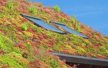 Da Toon O Ham living roof systems